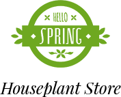 Yanez Party Rentals-Yanez Party Rentals is a family owned business based in the Central Valley to serve your part needs!.